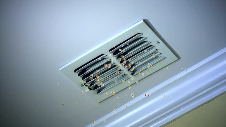 Best Local Air Duct Cleaning Services  in Enetai, WA