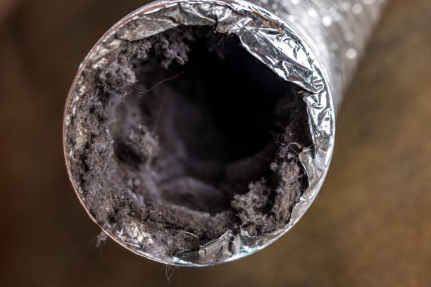 Best Affordable Air Duct Cleaning  in Enetai, WA